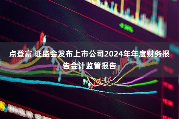 点登富 证监会发布上市公司2024年年度财务报告会计监管报告