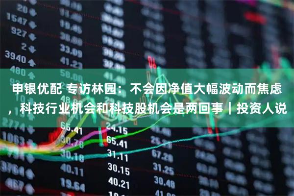 申银优配 专访林园：不会因净值大幅波动而焦虑，科技行业机会和科技股机会是两回事｜投资人说